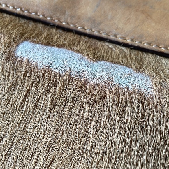 Loeffler Randall Camel Calfhair Crossbody Lock Bag - Picture 14 of 16